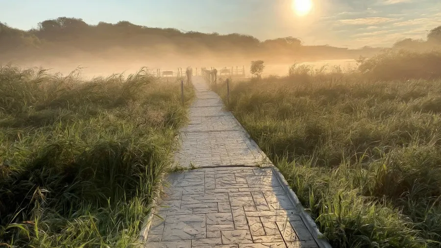 schilderachtige zonsondergang