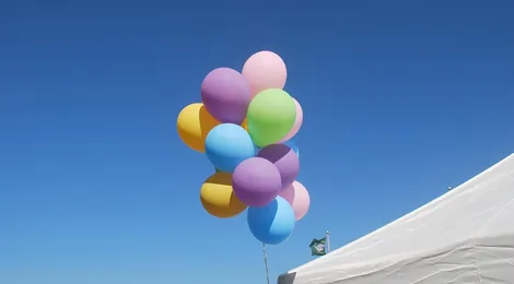 Atelier open: Strandwal festival Zondag 9 september
