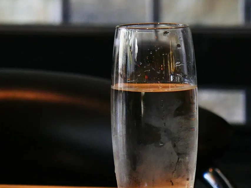 Annelien van Kempen